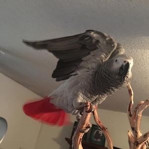 Meet your Posher, Debra